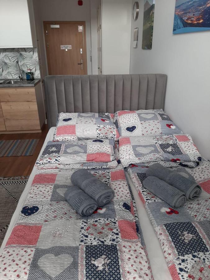Aparta Lotnisko Apartment