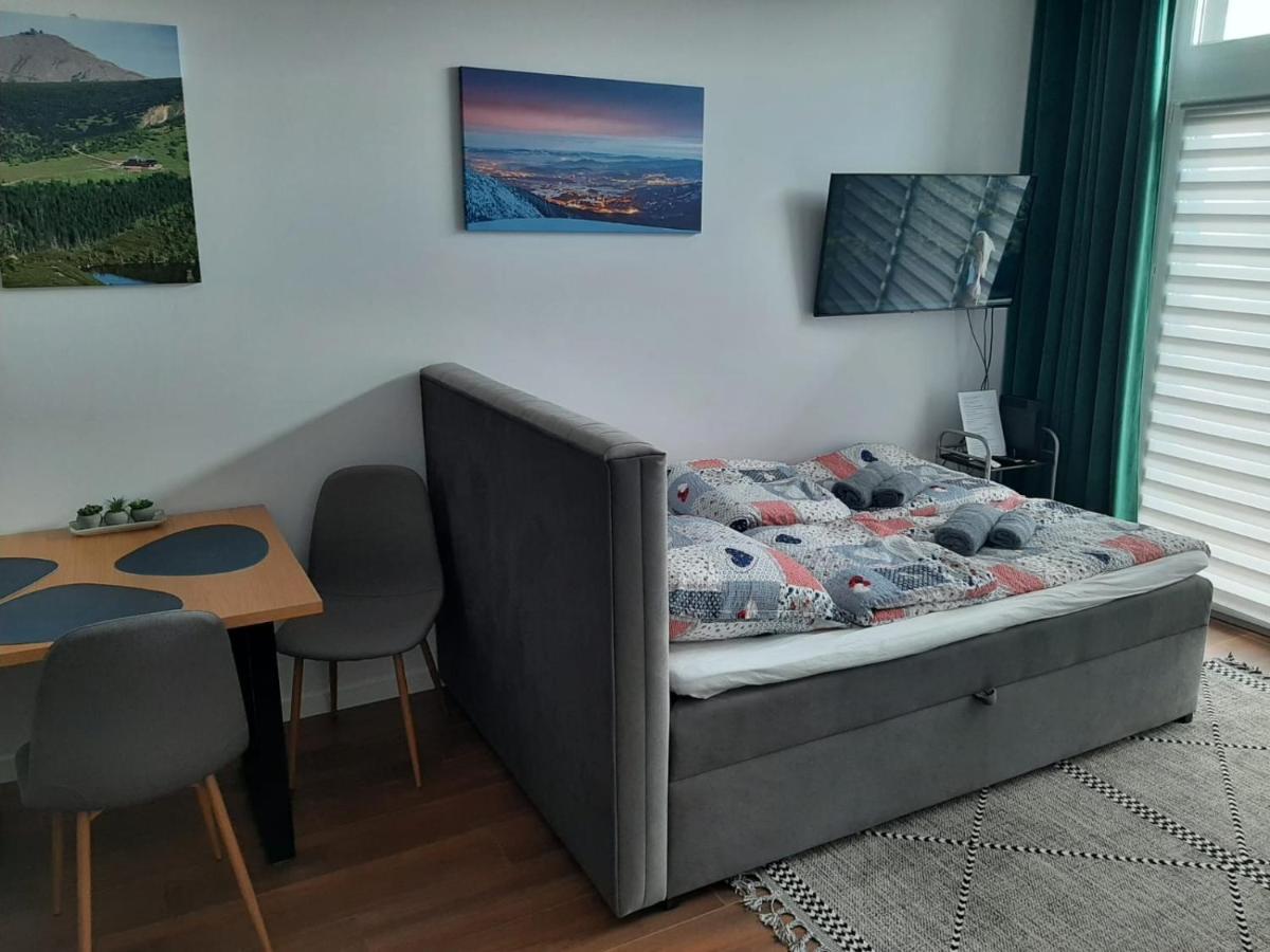 Aparta Lotnisko Apartment